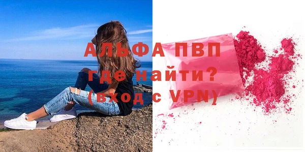 гашик Снежногорск