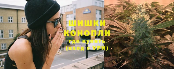 гашик Снежногорск